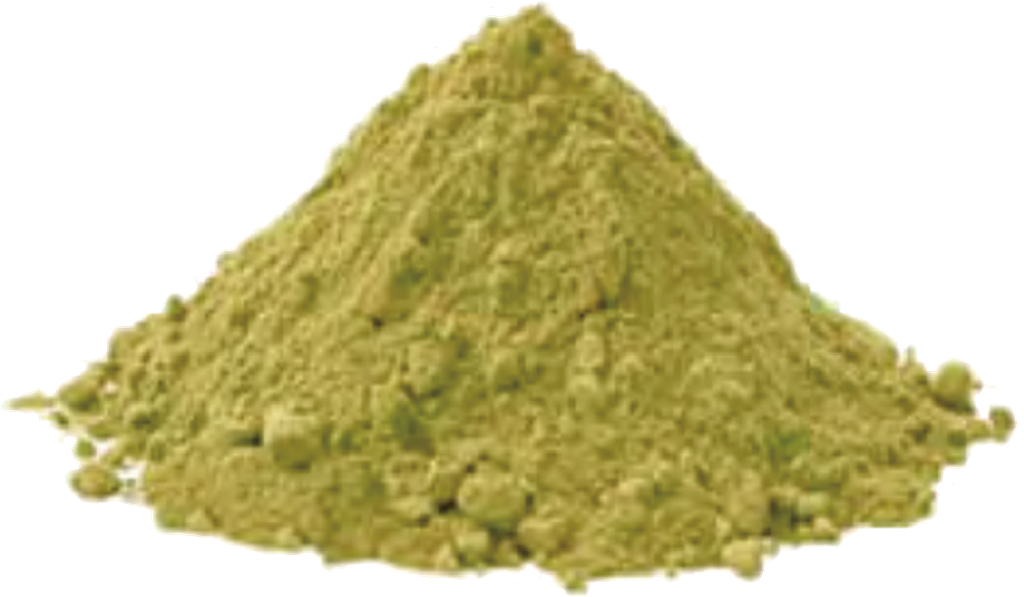 Organic Ginkgo Leaf Cut