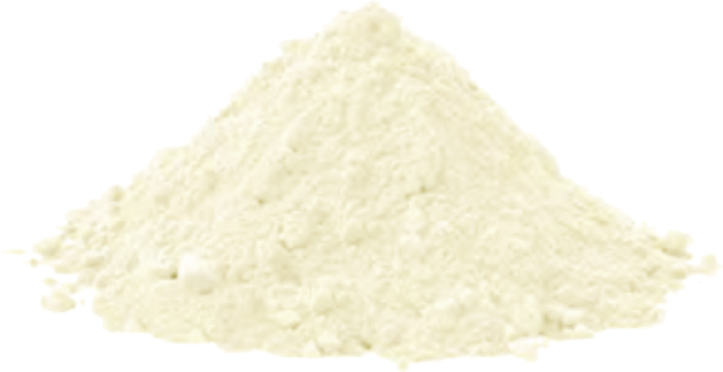 Organic Lion's Mane Mushroom