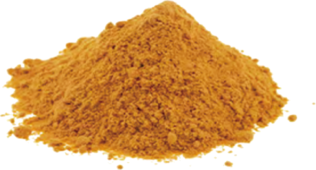 FD Organic Gojiberry Powder