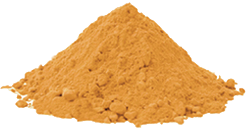 Organic FD Carrot Powder