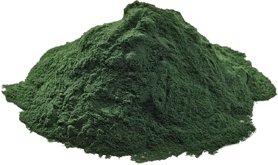 Organic Blue Spirulina Powder
