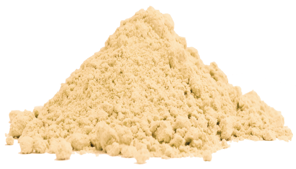 Organic Reishi Extract