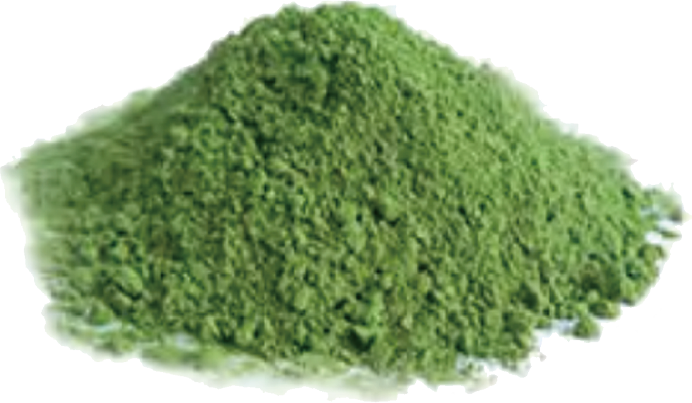 [00000000091] Organic Wheat Grass Powder (20kg carton, 200mesh )