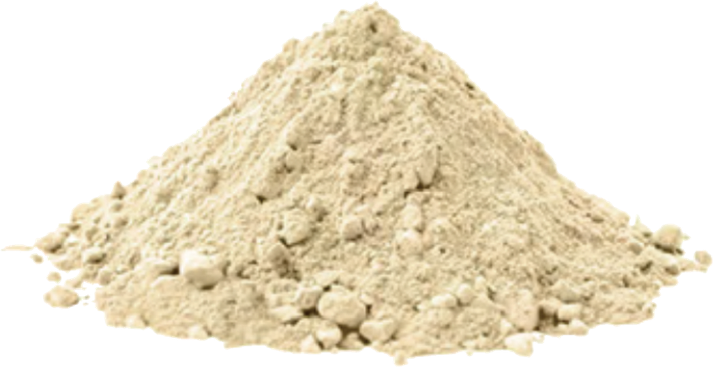 Conventional Sunflower Seed