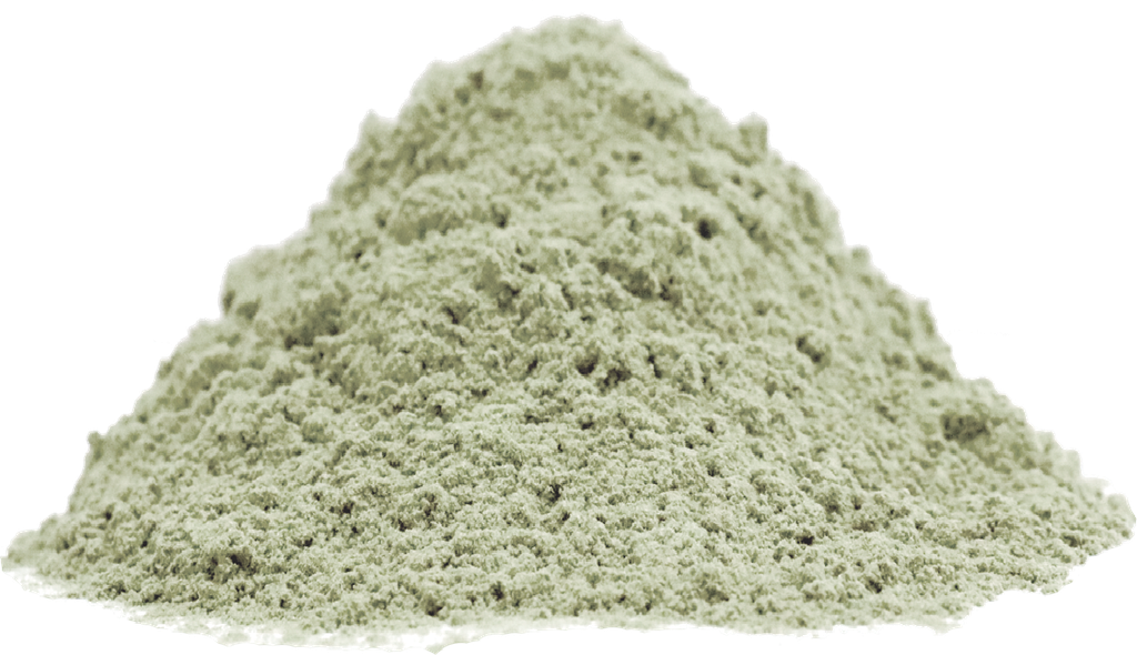 [00000000094] Organic Pumpkin Seed (25kg carton)