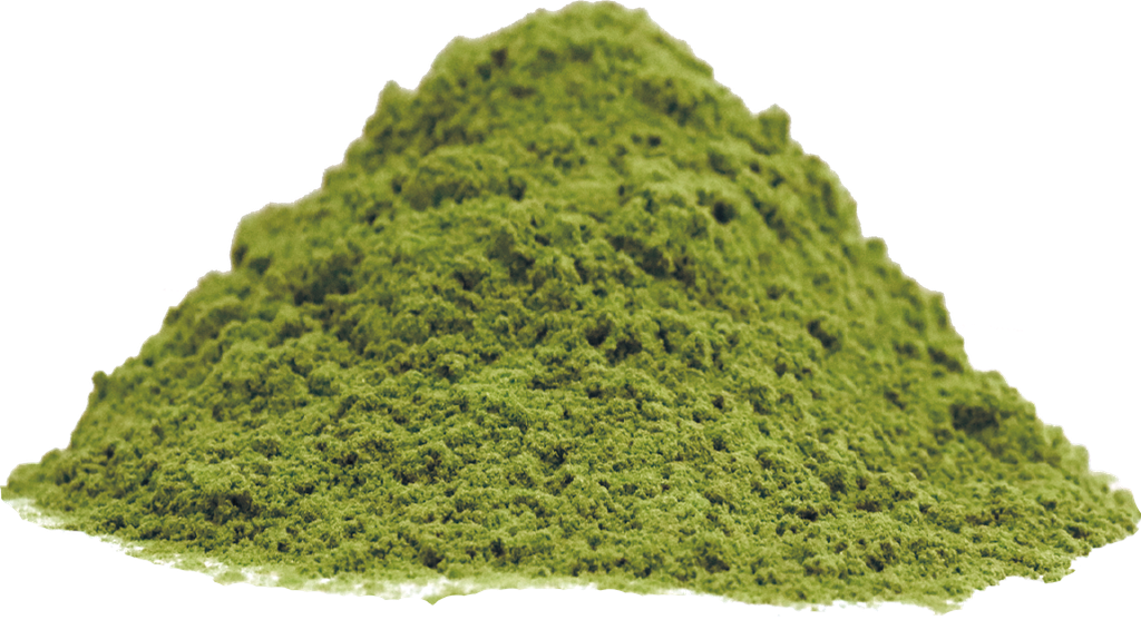 [00000000010] Organic Barley Grass Powder