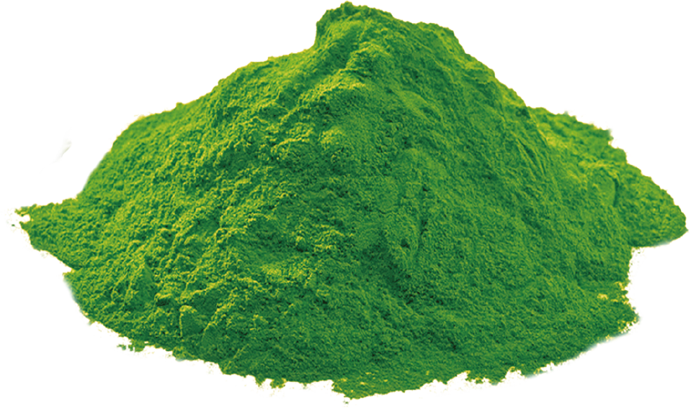 Organic Chlorella Powder (25kg carton)